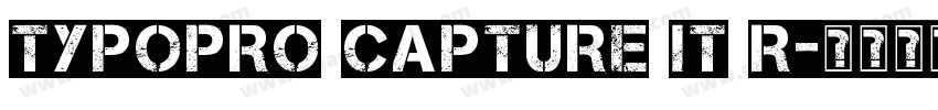 TypoPRO Capture It R字体转换